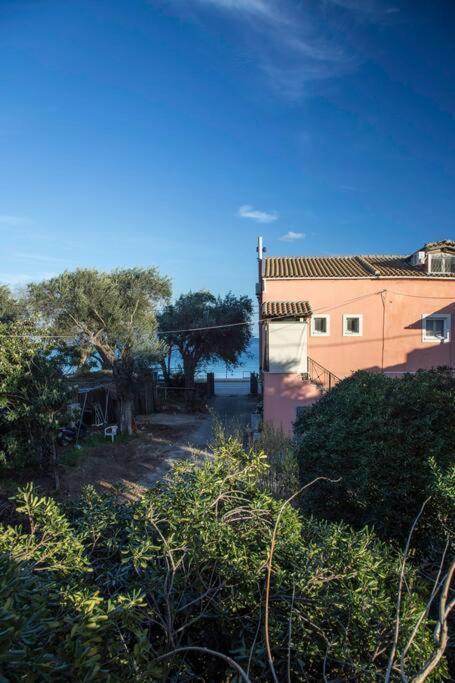 Terranova Beach Apartment -Rose อิปโซส ภายนอก รูปภาพ